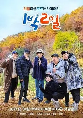 短剧在线播放-我们的流浪厨房海报
